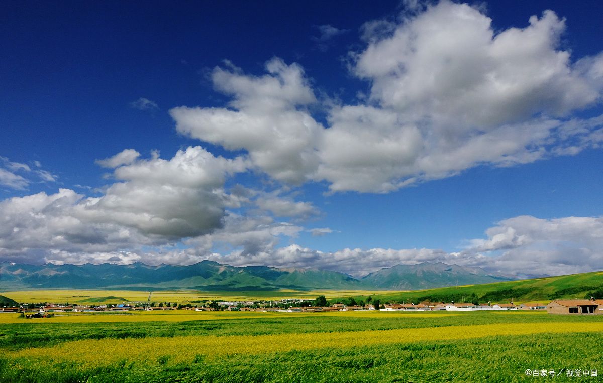 青海旅游公司电话