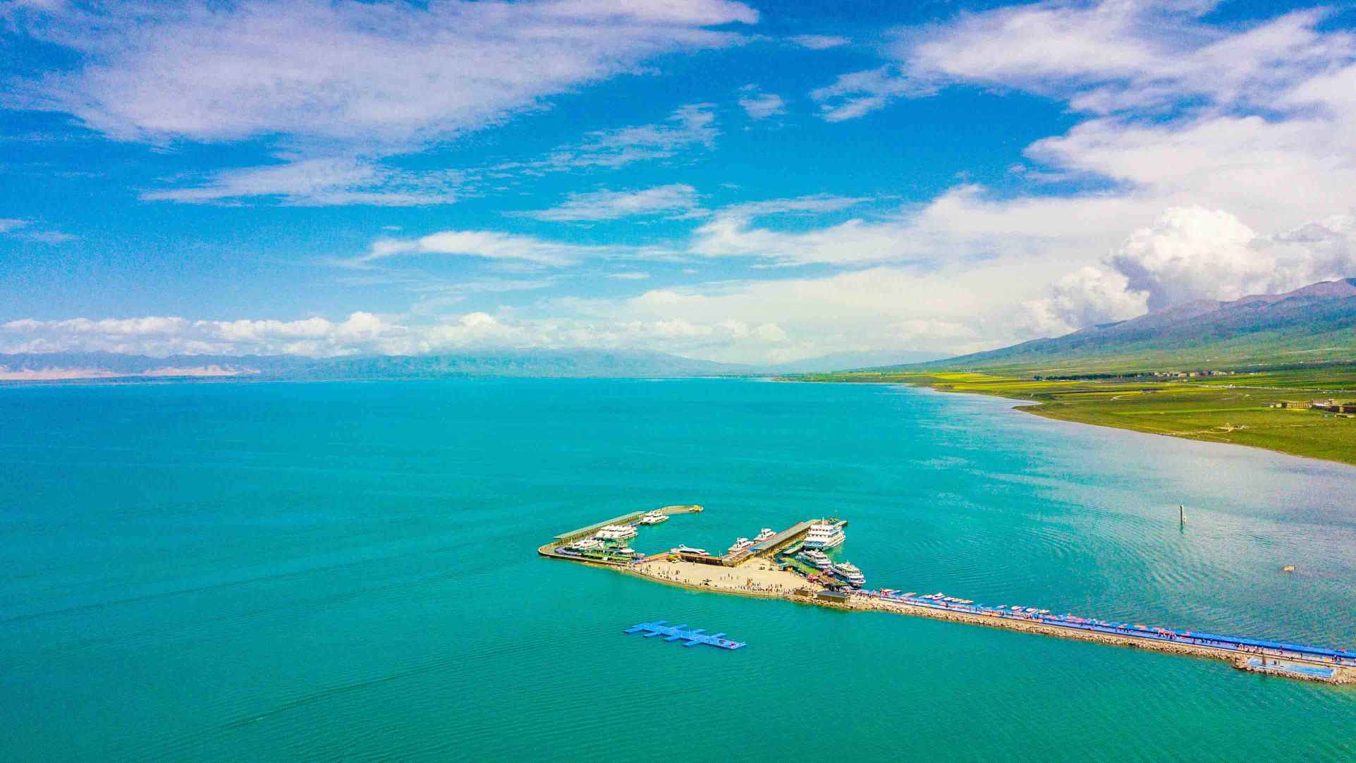 青海省旅游公司有几家