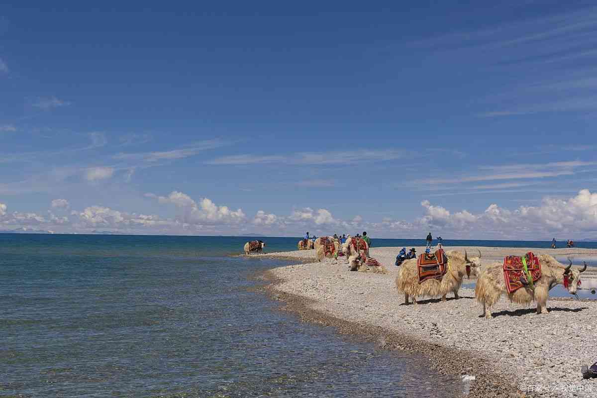青海最好的旅游公司