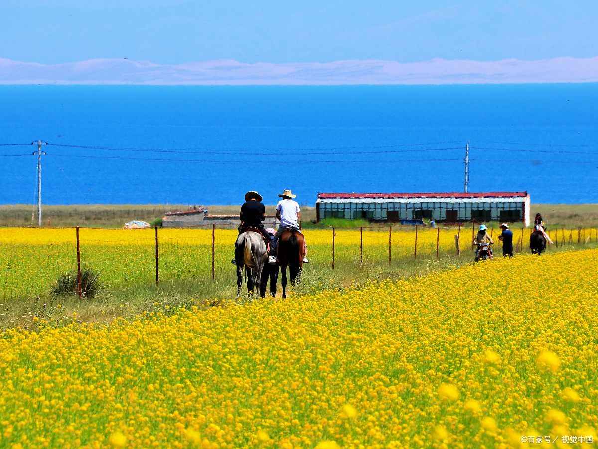 青海旅游公司电话号码